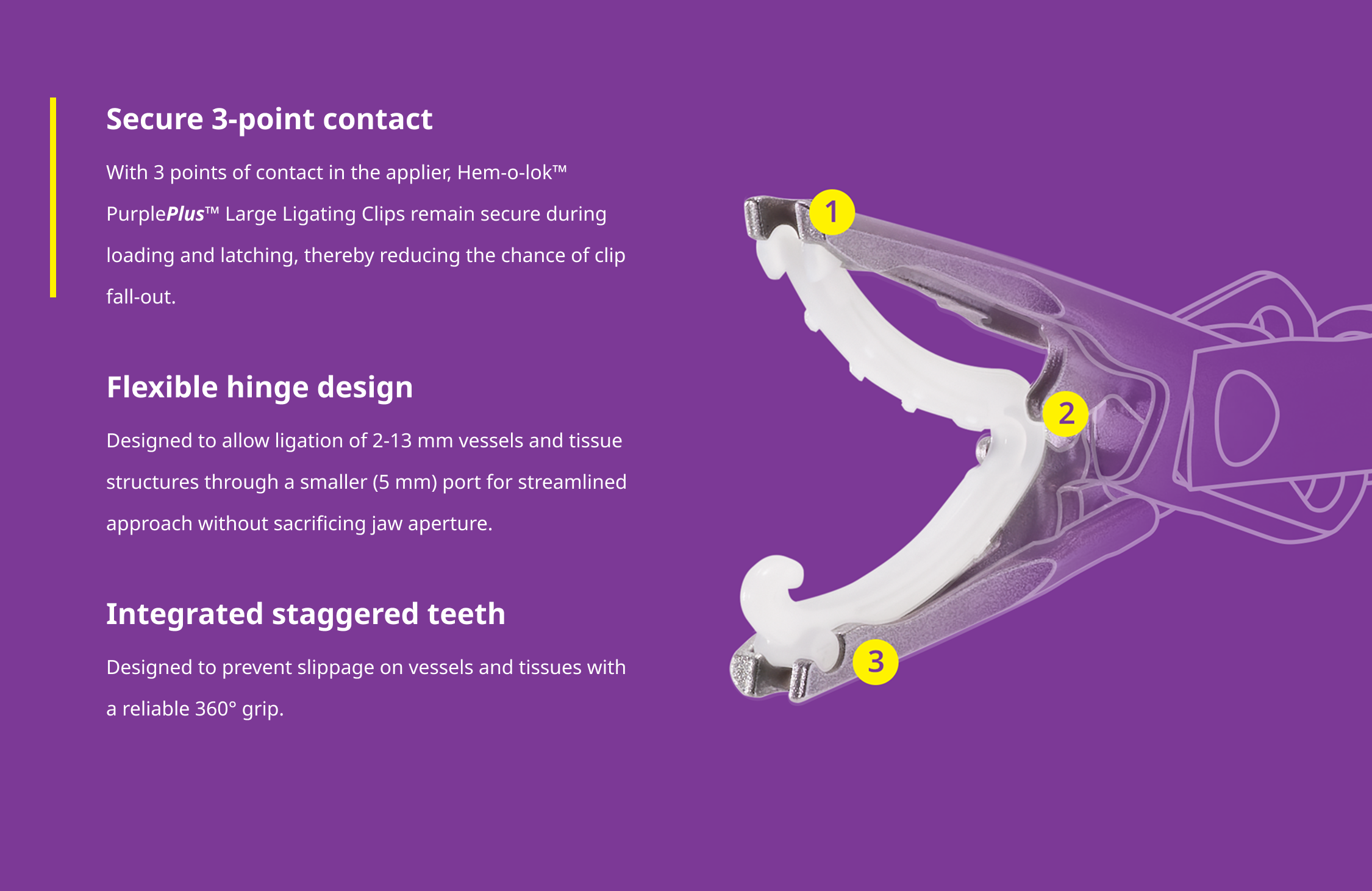 Purple Plus Carousel One