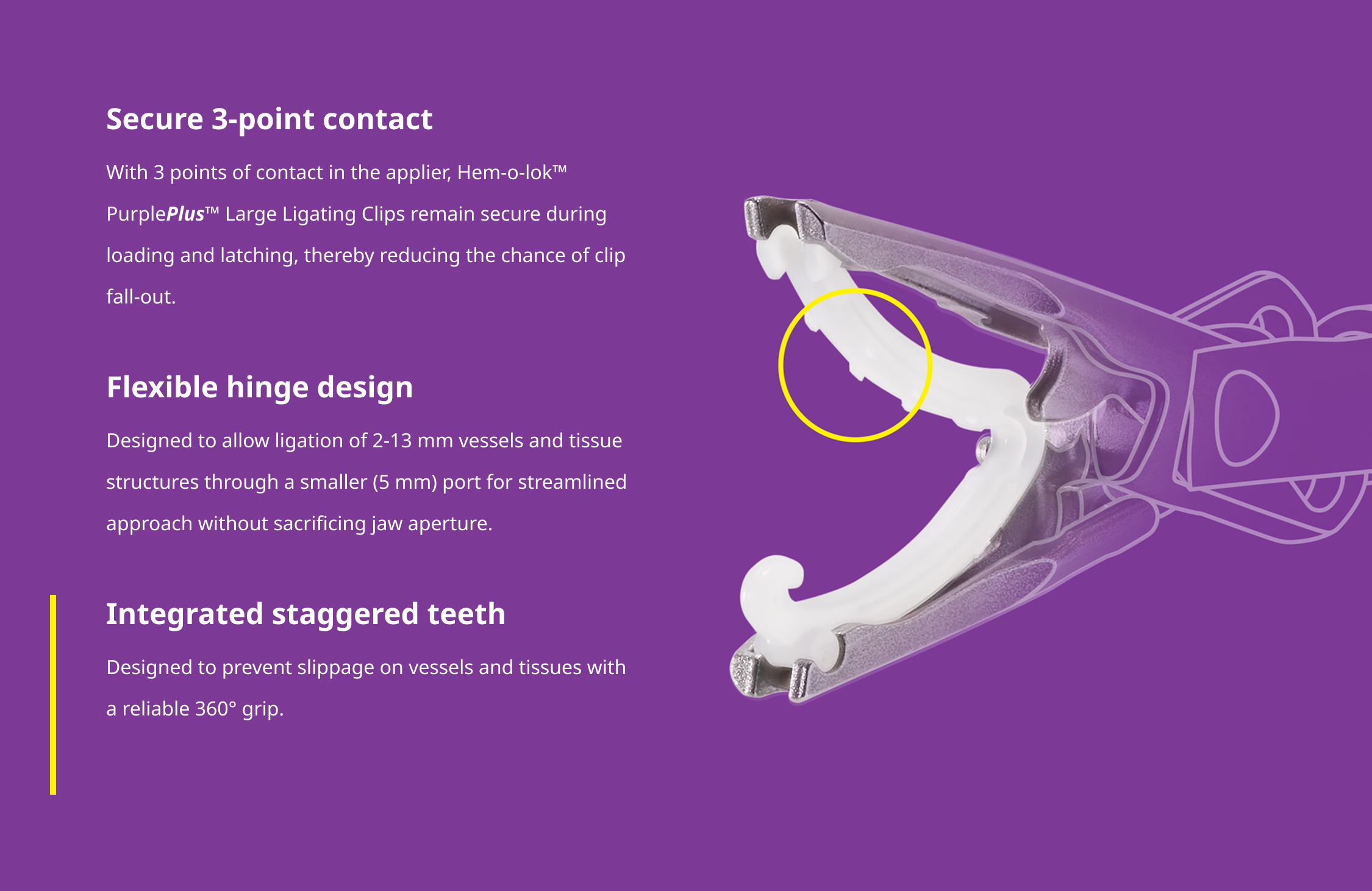 Purple Plus Carousel Three