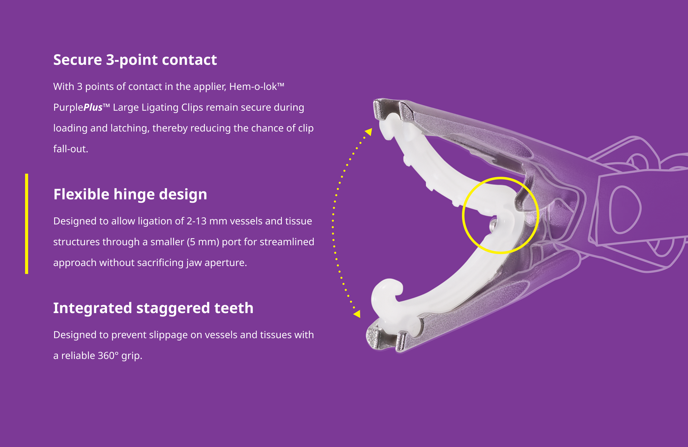 Purple Plus Carousel Two